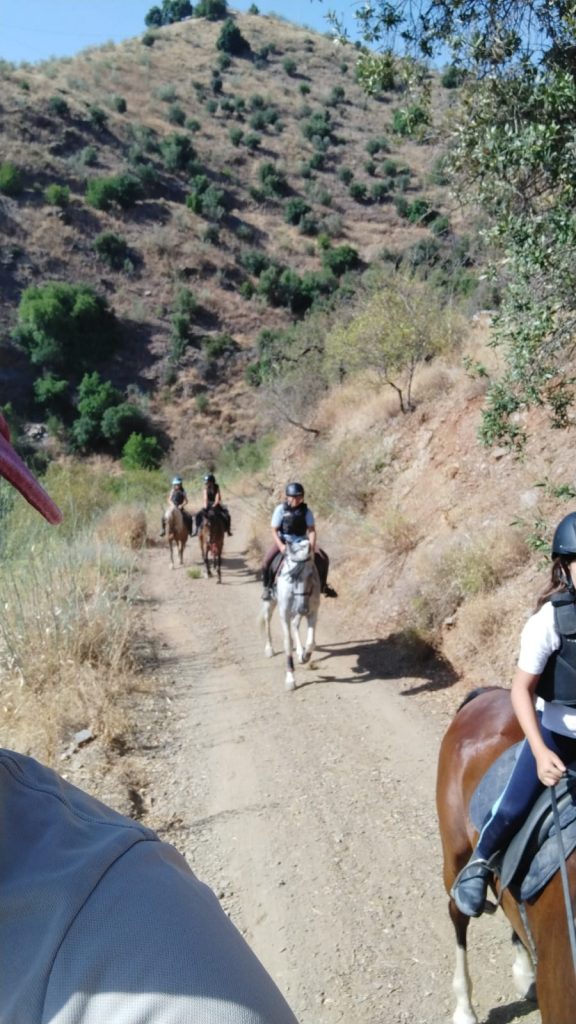 WhatsApp Image 2025-12-11 at 09.38.54 (2)