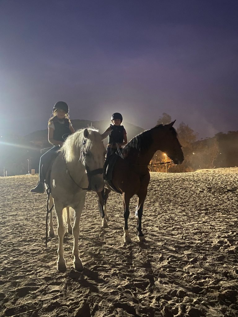 WhatsApp Image 2025-12-11 at 09.38.54 (3)