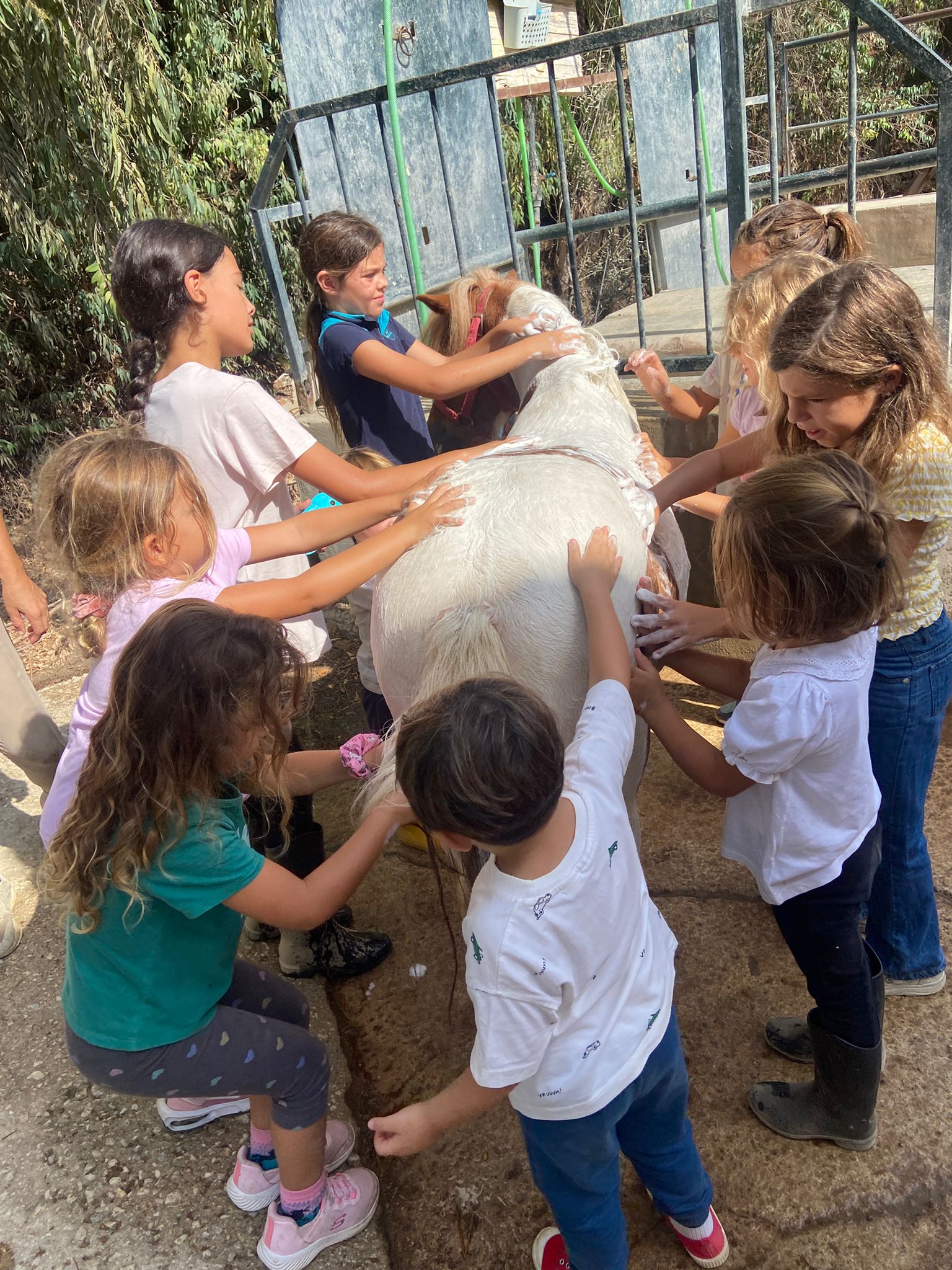 WhatsApp Image 2025-12-11 at 09.38.55 (4)