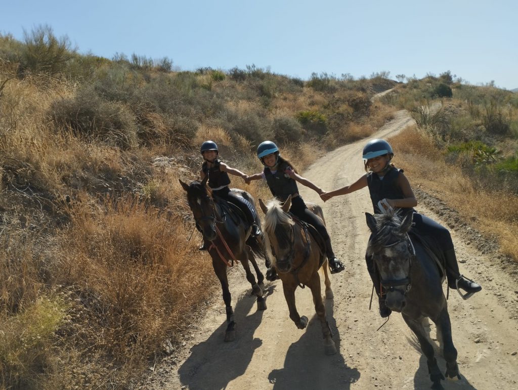 WhatsApp Image 2025-12-11 at 09.38.55