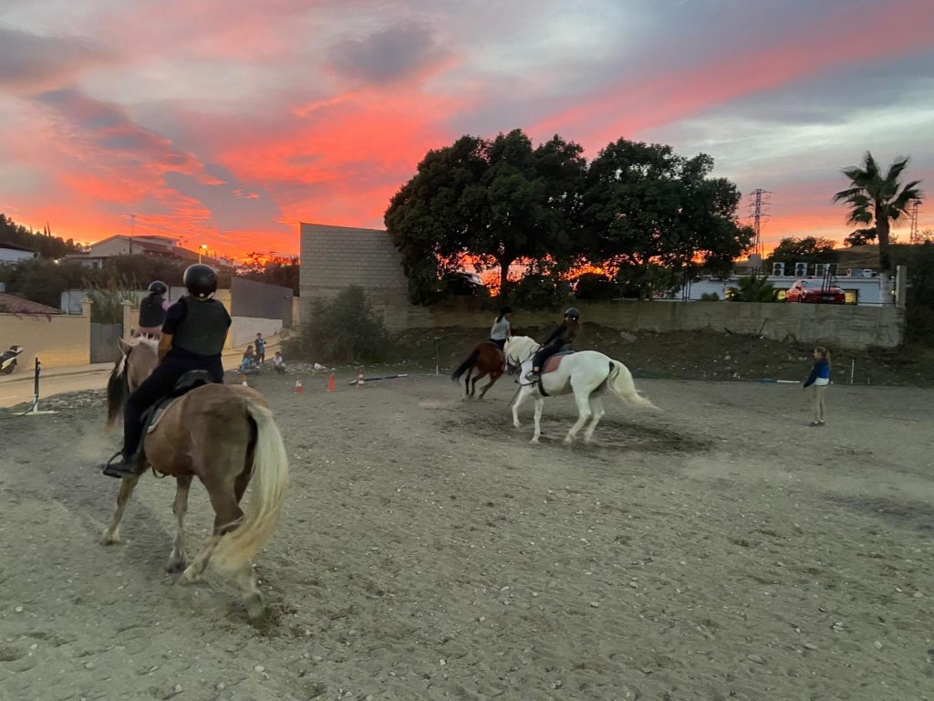 WhatsApp Image 2025-12-11 at 09.38.56 (1)