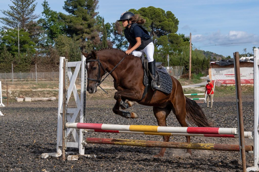 WhatsApp Image 2025-12-11 at 09.56.11