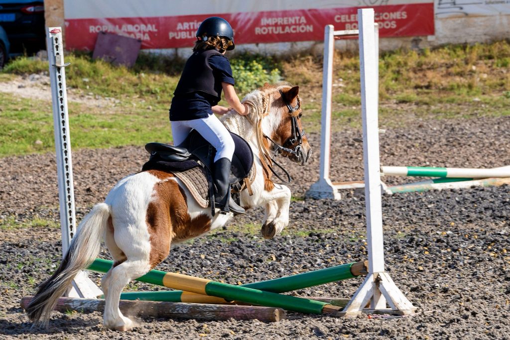 WhatsApp Image 2025-12-11 at 09.56.14 (1)