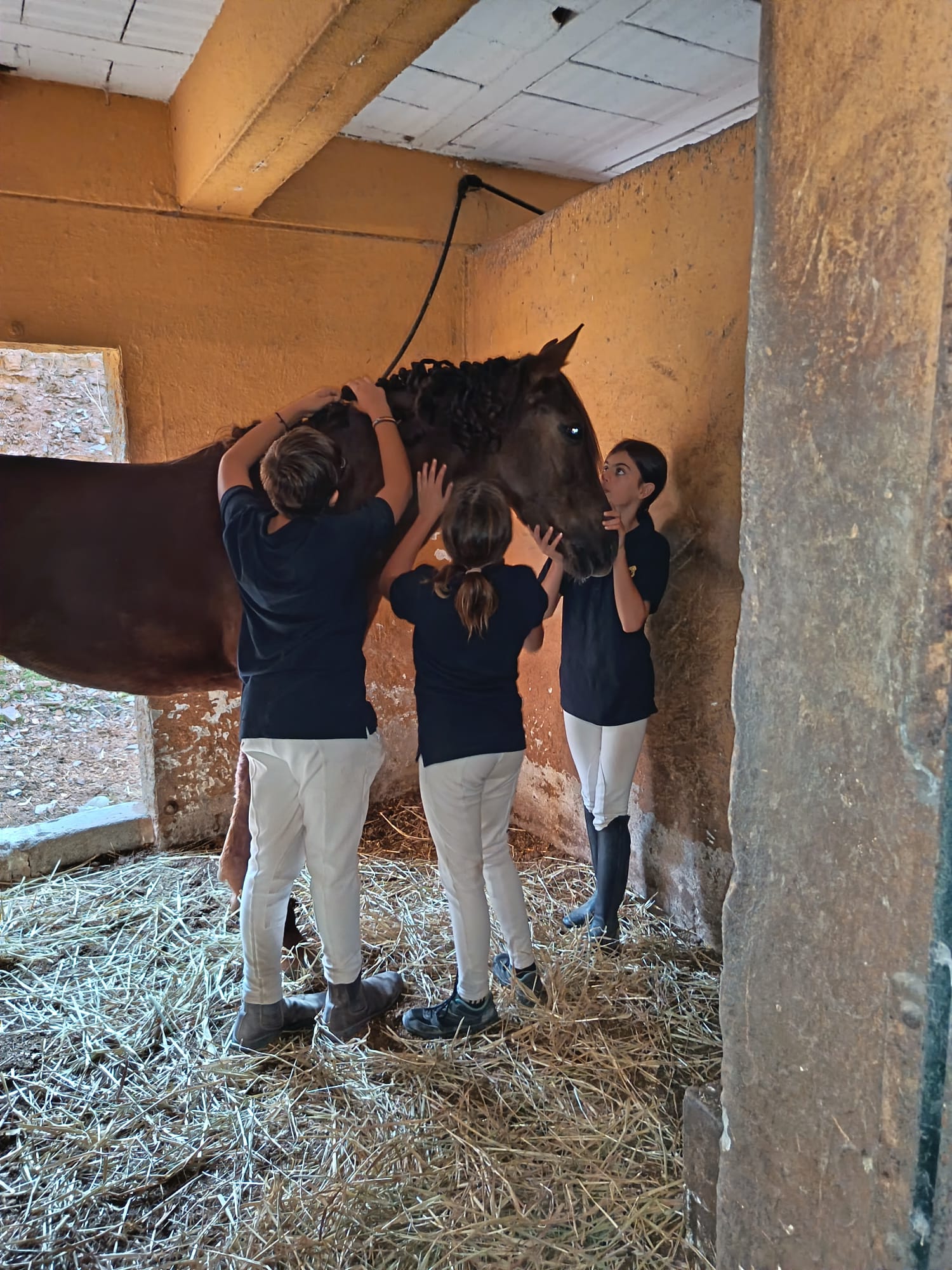 WhatsApp Image 2025-12-11 at 10.07.30