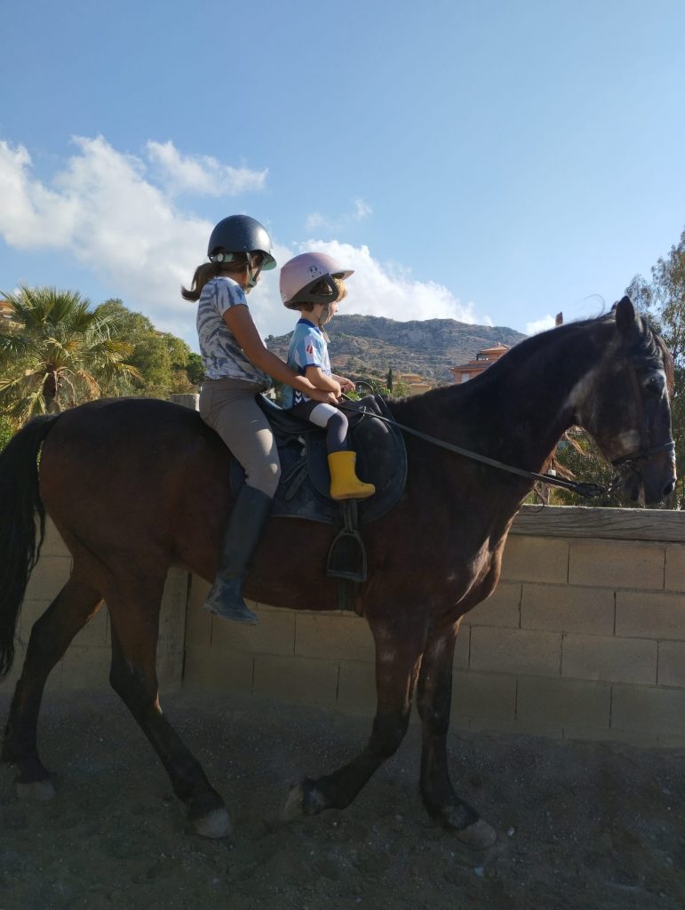 WhatsApp Image 2025-12-11 at 10.07.31 (1)